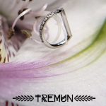 Betta - Clicker D-Ring - half CZ