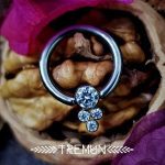 Captive Cluster with  4 CZ