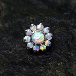 Opal Sunflower Top 10 Petals